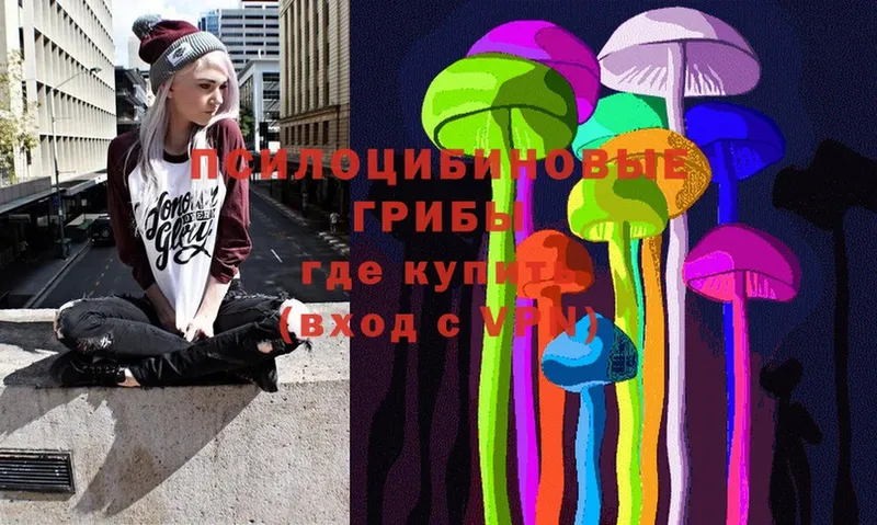 Галлюциногенные грибы Psilocybine cubensis  Новочебоксарск 